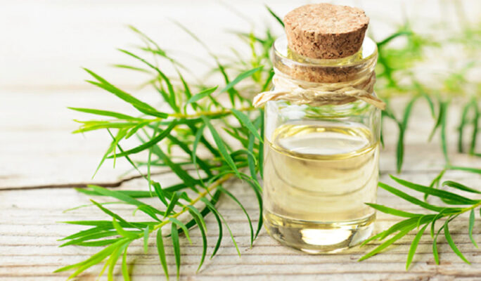 Benefits and uses of tea tree oil for skin and hair mobilehome