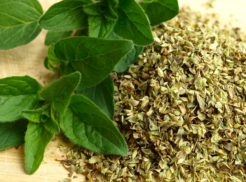 Oregano