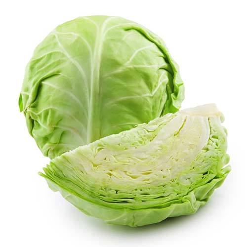 11903322 cabbage isolated on white background