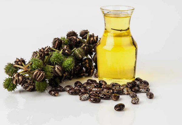 Castor oil 600x