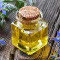 Borage oil with fresh blooming borage plant