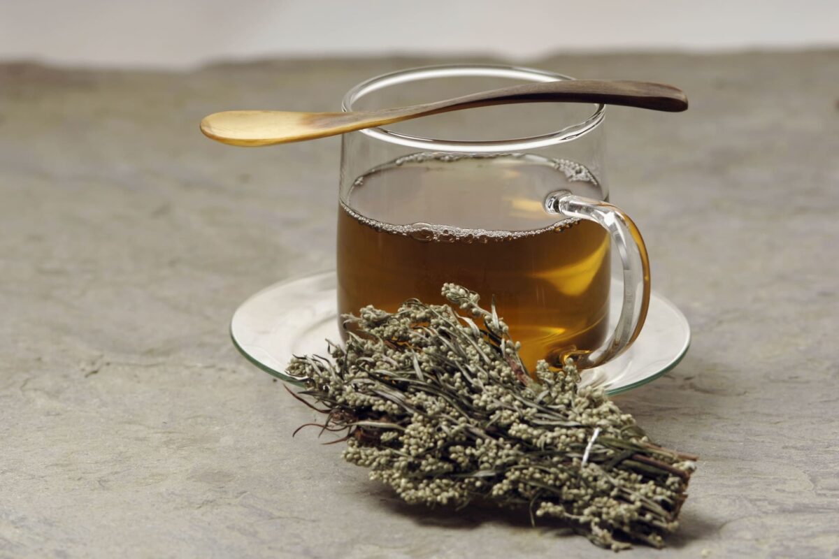 Mugwort tea